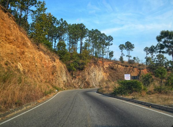 Causes et Solutions pour Vos Clignotants Défaillants : Découvrez Pourquoi Ils Ne Fonctionnent Pas